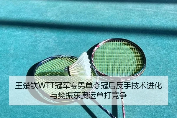 wang-chu-qin-guan-jun-sai-nan-dan-duo-guan-hou-fan-shou-ji-shu-jin-hua-yu-fan-zhen-dong-ao-yun-dan-da-jing-zheng-2-793.jpg